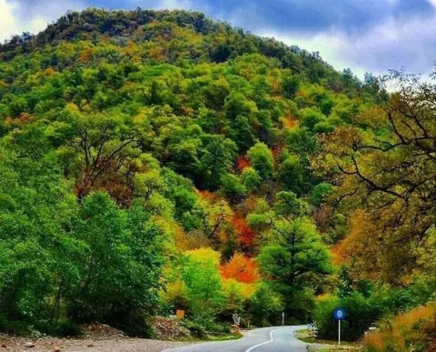 فعال شدن شورای راهبری پارک ملی گلستان و نگرانی‌ها درباره مدیریت آن