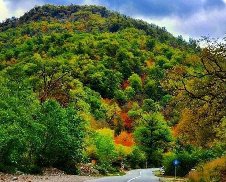 فعال شدن شورای راهبری پارک ملی گلستان و نگرانی‌ها درباره مدیریت آن