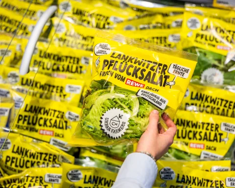 Gemüseanbau im Supermarkt: Ein neues Erlebnis des Anbaus in den Wolken
