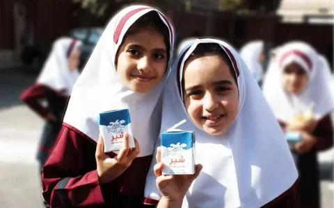 تغذیه مدارس با اعتباری ۱۵ همتی و شیوع اضافه‌وزن در دانش‌آموزان به ۲۵ درصد رسید