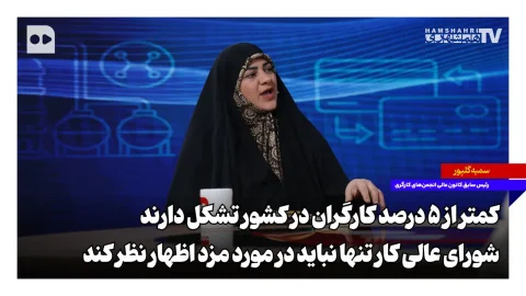 سمیه گلپور: کارگران در تشکل‌ها حضور ناچیزی دارند و شورای عالی کار باید فراتر از دستمزدها بیندیشد