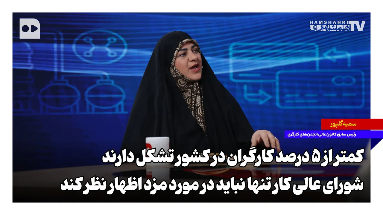 سمیه گلپور: کارگران در تشکلها حضور ناچیزی دارند و شورای عالی کار باید فراتر از دستمزدها بیندیشد