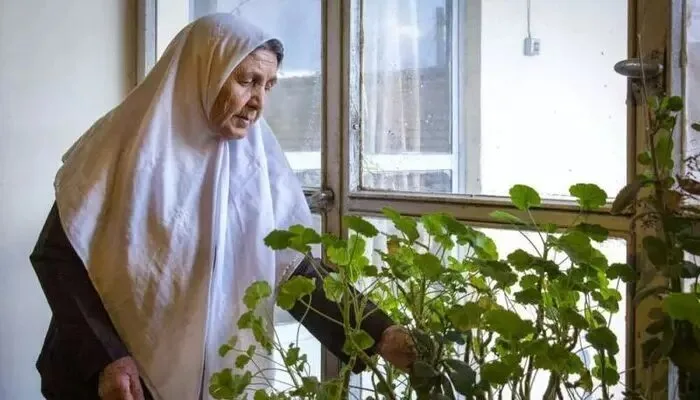 احمد اسماعیل‌زاده: تغذیه سالمندان، پیشگیری از بیماری‌های شایع در سالمندی