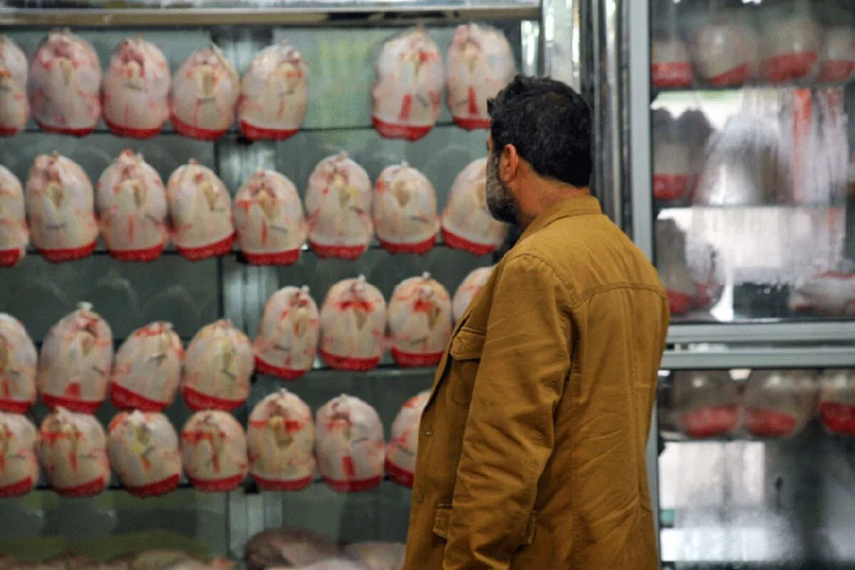 قیمت مرغ به ۲۷۰ هزار تومان رسید و خرید حمایتی آغاز شد
