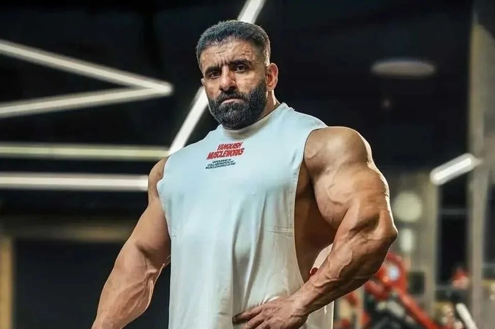 Hadi Chopan nannte Hani Rambod "Krähe"