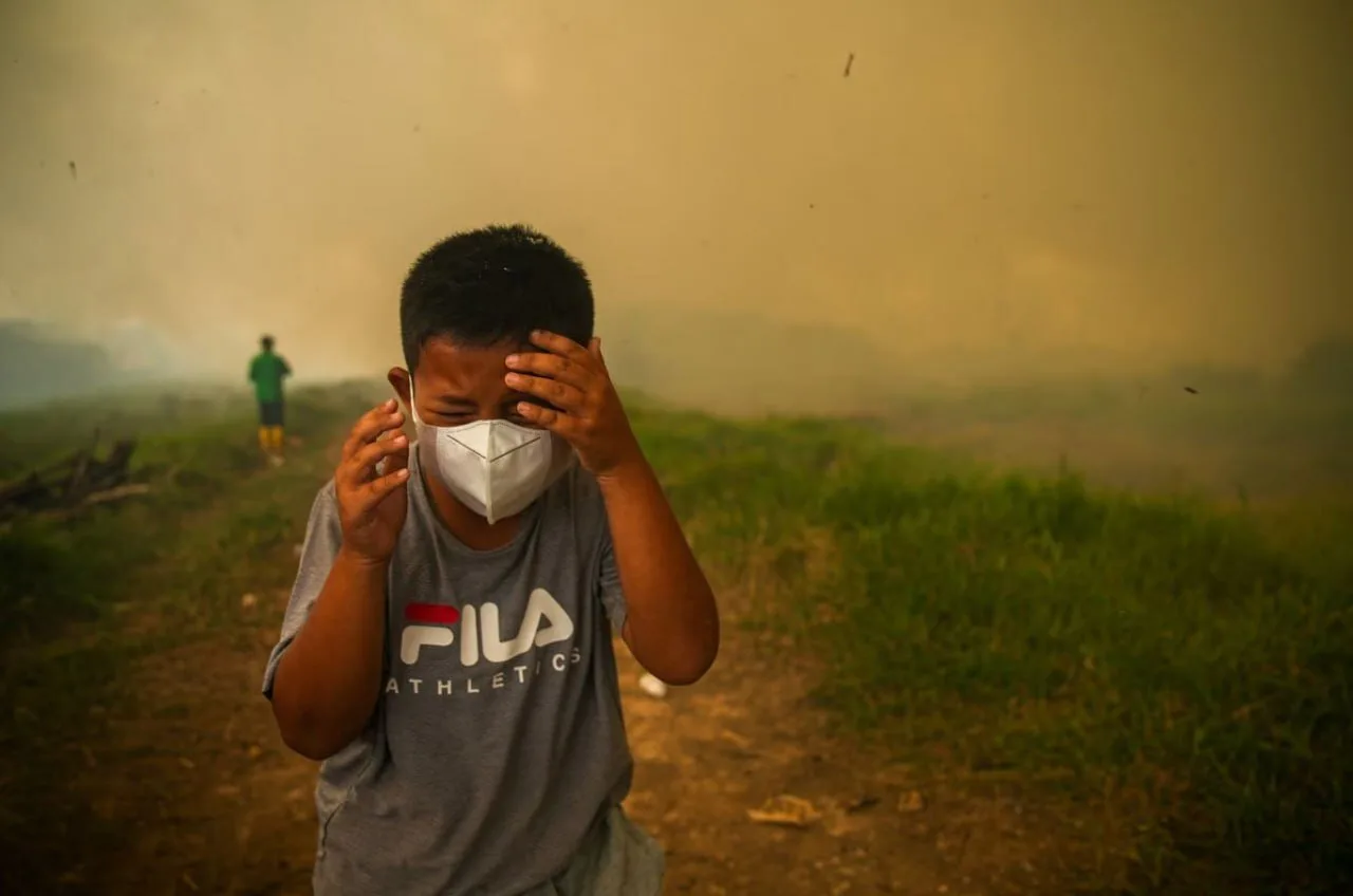 Terrifying Fires in Indonesia; Severe Effects of El Niño