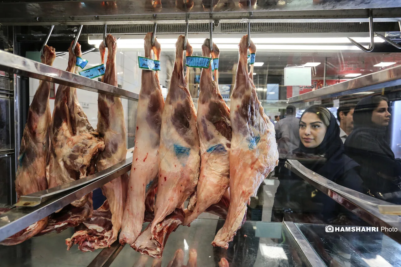 جواد آزاد: قیمت منطقی لاشه گوشت کمتر از یک میلیون و ۵۰۰ هزار تومان است