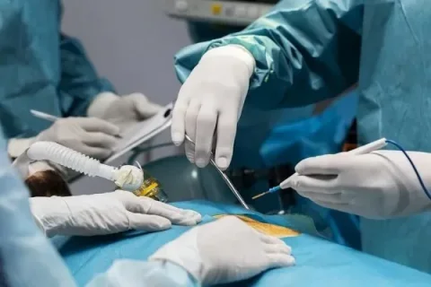 بازگشت ۱۰ عضو هیئت علمی دانشگاه علوم پزشکی ایران به وطن