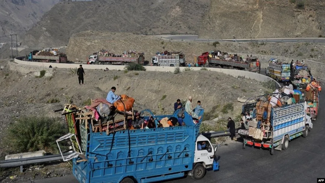 بازگشت ۵۹۵ مهاجر به کشور در یک روز