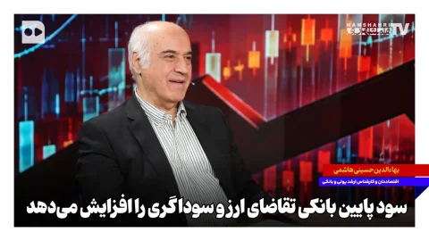 بهاءالدین حسینی هاشمی: نرخ سود پایین تقاضای کاذب برای ارز را افزایش می‌دهد