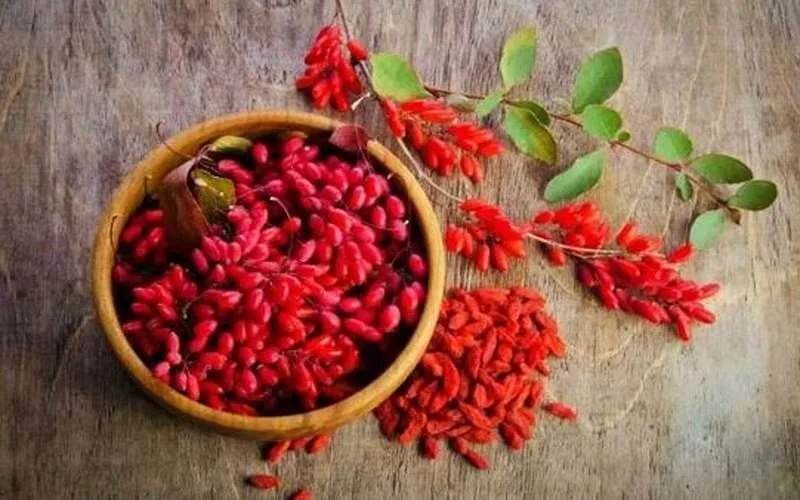 زرشک، ابرغذای کوچک با فواید بزرگ برای سلامت بدن
