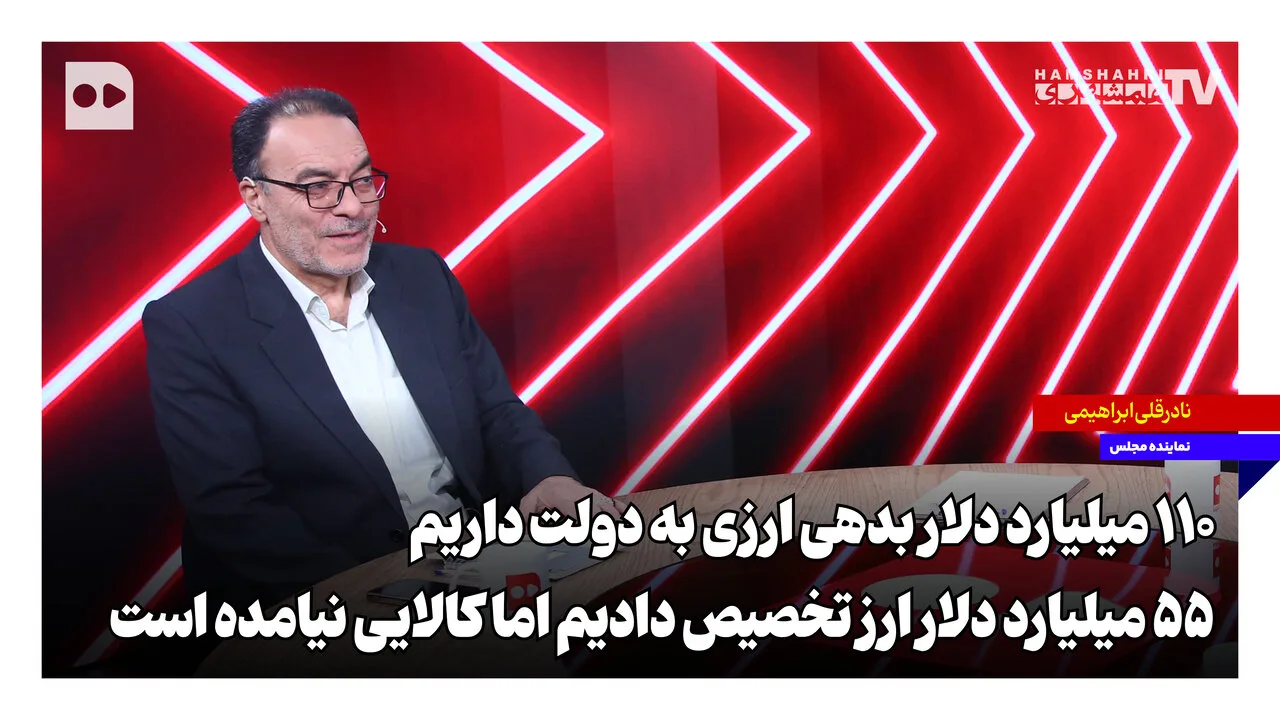 نادرقلی ابراهیمی: ۱۱۰ میلیارد دلار بدهی ارزی به دولت وجود دارد