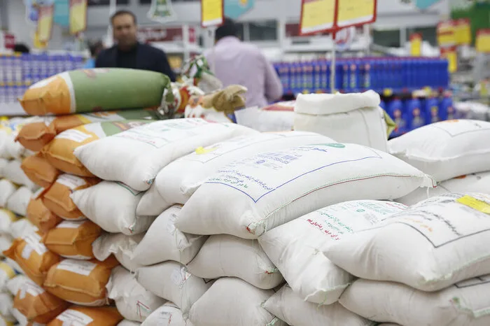قیمت جدید برنج هاشمی؛ سفرههای ایرانی در تنگنای اقتصادی