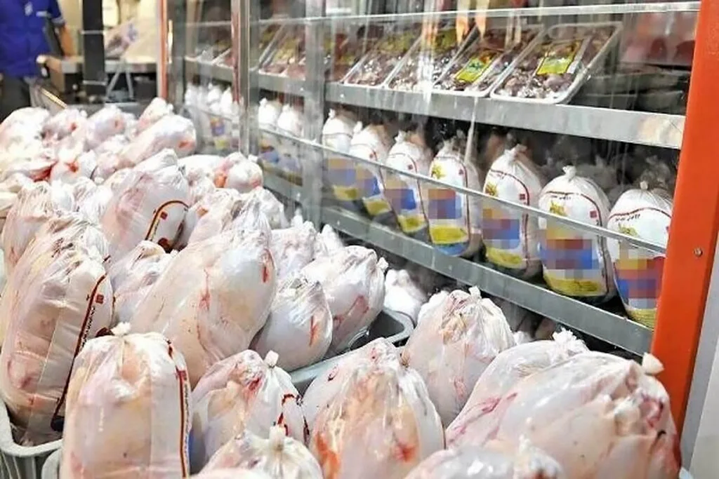 مدير عام شركة دعم شؤون الماشية في البلاد أعلن عن بدء شراء الدجاج المدعوم