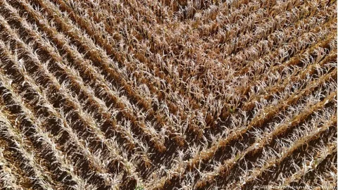 موج گرمای تابستان ۲۰۲۶، ۱۱۳ میلیارد یورو از اقتصاد اروپا می‌گیرد