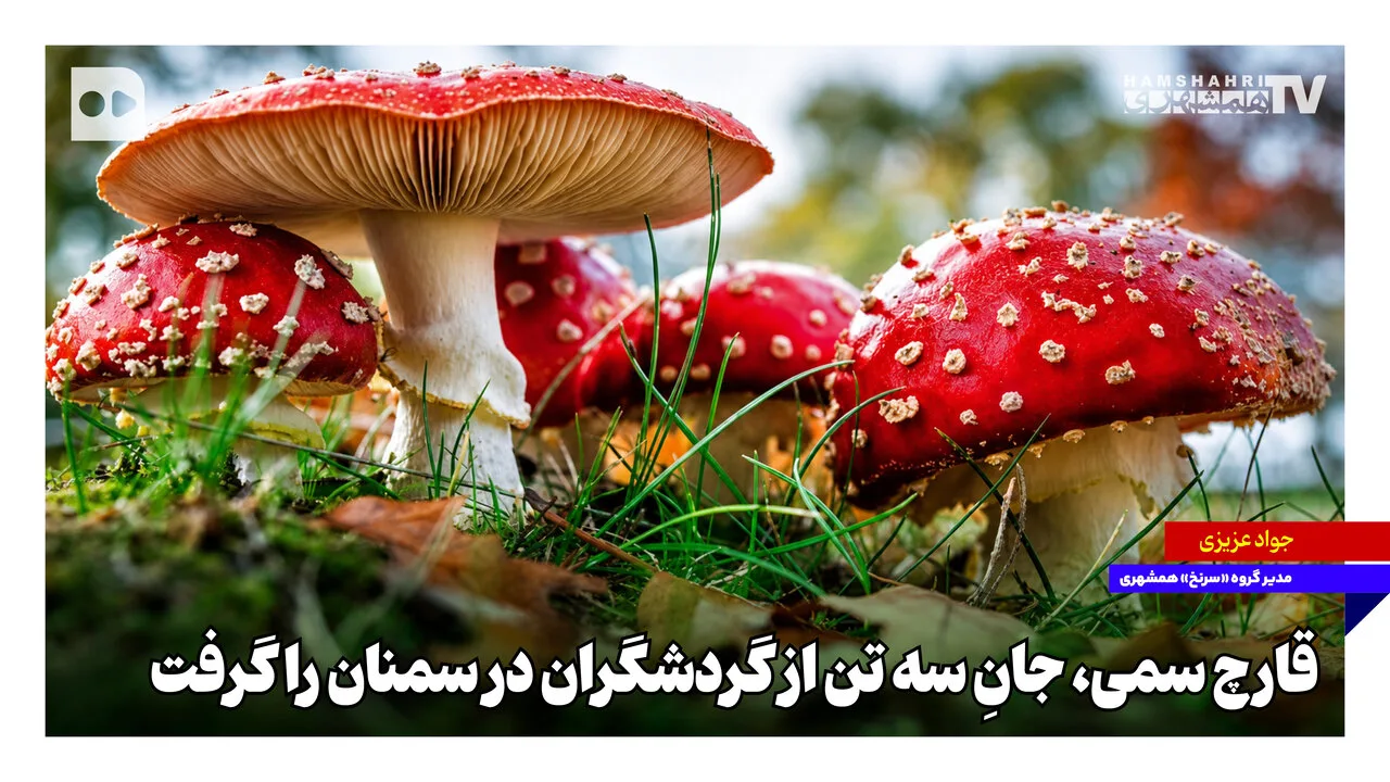 قارچ سمی، جان سه گردشگر را در سمنان گرفت