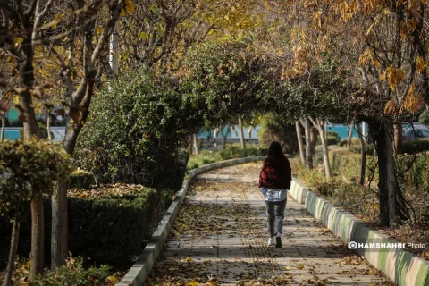 افسردگی فصلی و تأثیر پاییز بر روحیه افراد