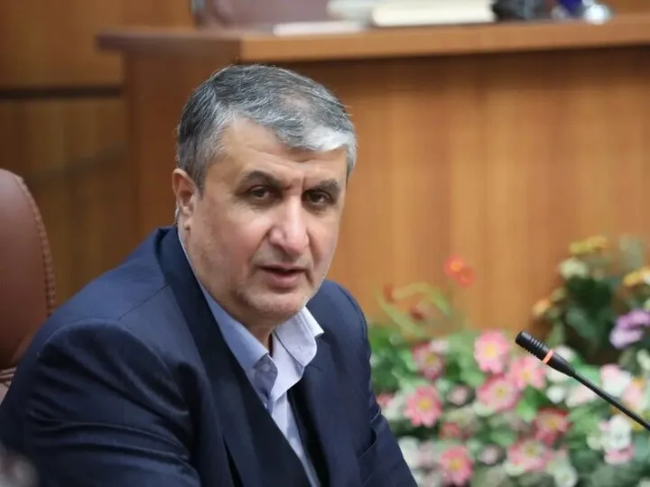 محمد اسلامی درگذشت خواهر سیدعباس عراقچی را تسلیت گفت