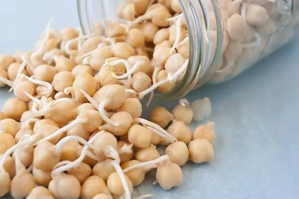 جوانه نخود؛ دوست سلامت و زیبایی شما