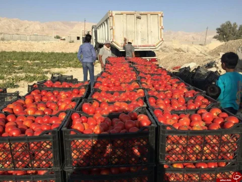 برگزاری نهمین نشست ستاد هماهنگی روابط اقتصادی خارجی در وزارت امور خارجه
