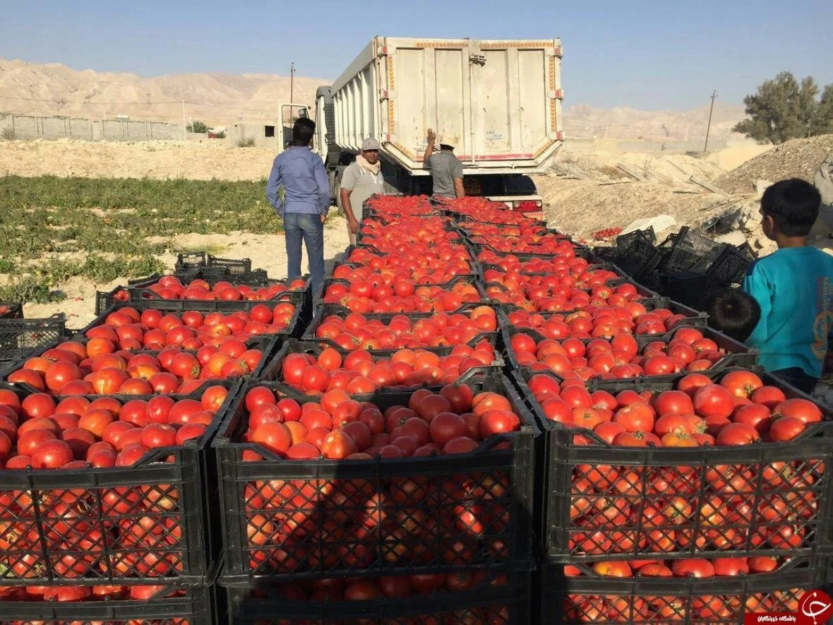 برگزاری نهمین نشست ستاد هماهنگی روابط اقتصادی خارجی در وزارت امور خارجه