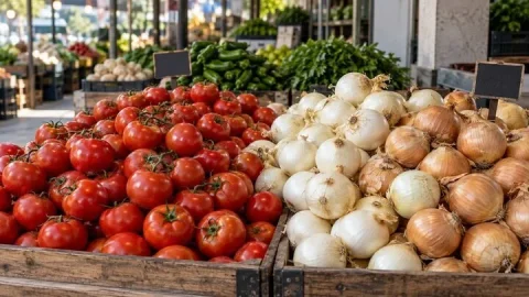 اختلاف قیمت گوجه‌فرنگی و پیاز؛ چالش‌های صادراتی و تأمین بازار داخلی