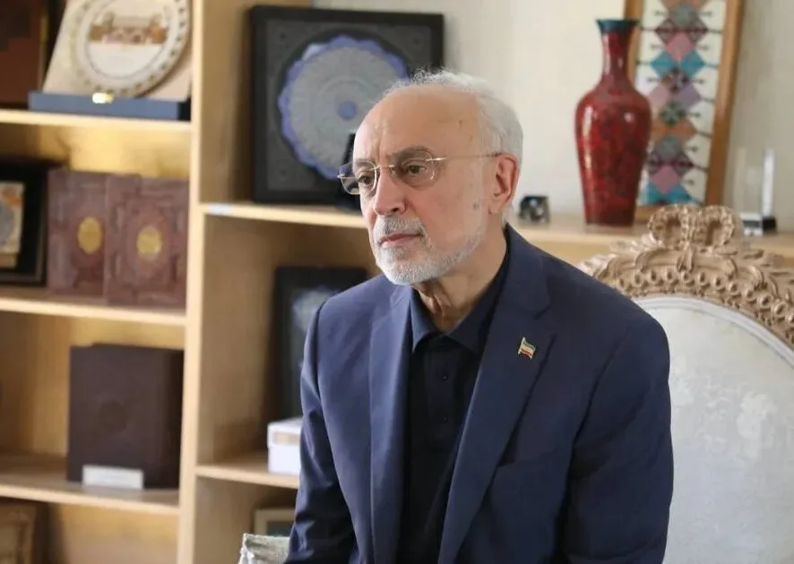 آلن ایر به اظهارات علی‌اکبر صالحی درباره منازعات جهانی واکنش نشان داد