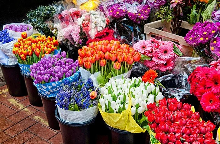 پیامهای شاعرانه برای تبریک روز دختر به دختران و زنان ایرانی