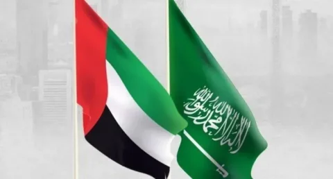 مقام اماراتی هشدار داد: تلاش‌ها برای ایجاد تفرقه میان عربستان و امارات