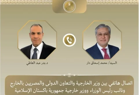گفتگوی وزیران خارجه مصر و پاکستان درباره تحولات منطقه