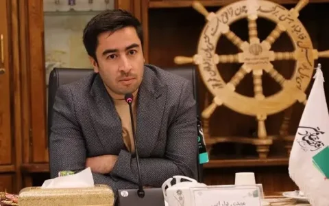 مهدی دارابی: واردات خودرو توسط ایرانیان خارج از کشور به فشار بر بازار ارز می‌افزاید