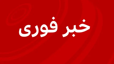 ناوی پیلای، کمیسر عالی حقوق بشر برنده جایزه صلح نوبل شد