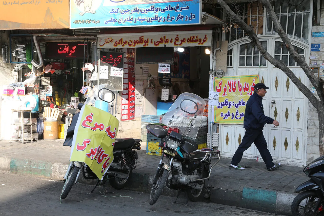 سجاد سنگسری: نگرانی فروشندگان کالابرگ در مورد تسویه مطالبات بی‌اساس است