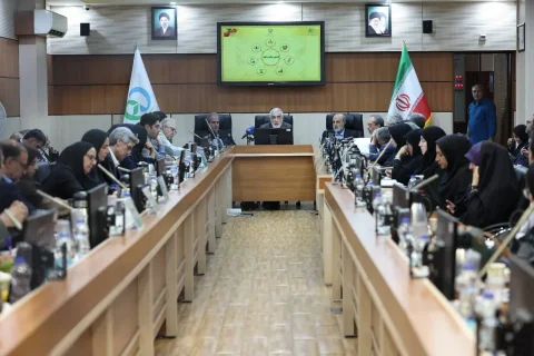 مهدی پیرصالحی: ۱۷ درصد نمونه‌های غذایی با استانداردها مطابقت ندارند