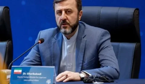 کاظم غریب‌آبادی: آمریکا و رژیم اسرائیل نمادهای خشونت دولتی هستند
